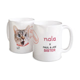 Nala Cat Surprise Mug