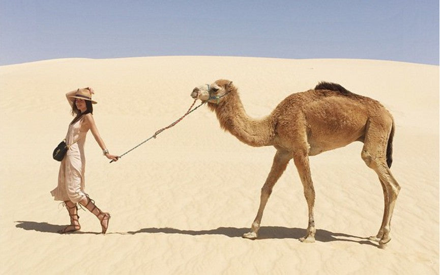 Zina's Desert's Cross