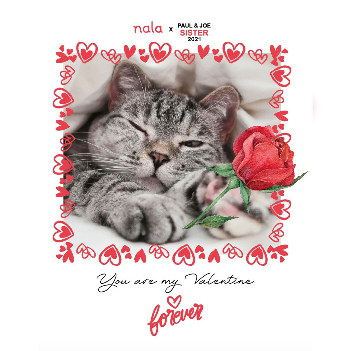 Nala Pillow Case Limited Edition You are My Valentine