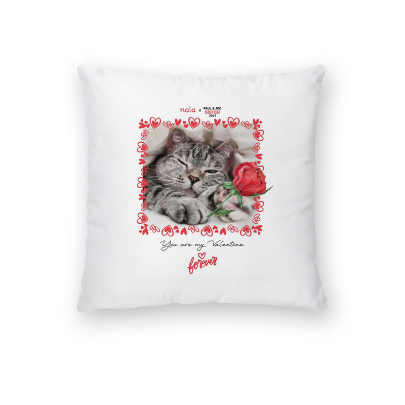 Nala Pillow Case Limited Edition You are My Valentine