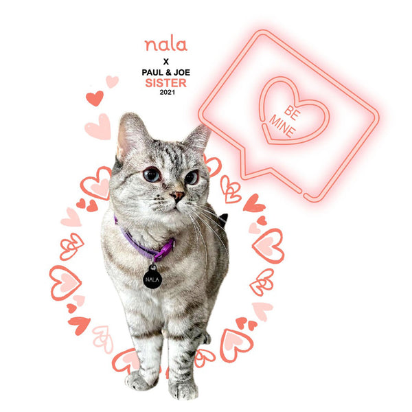 Nala Pillow Case Limited Edition Be Mine