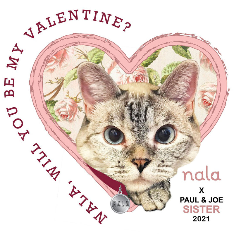 Nala Pillow Case Limited Edition Will you be my Valentine